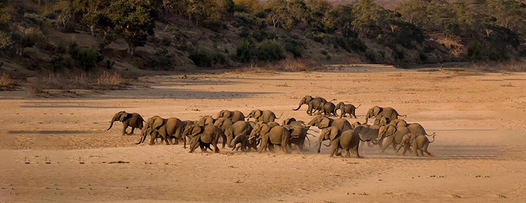 成都空港兴城投资集团有限公司