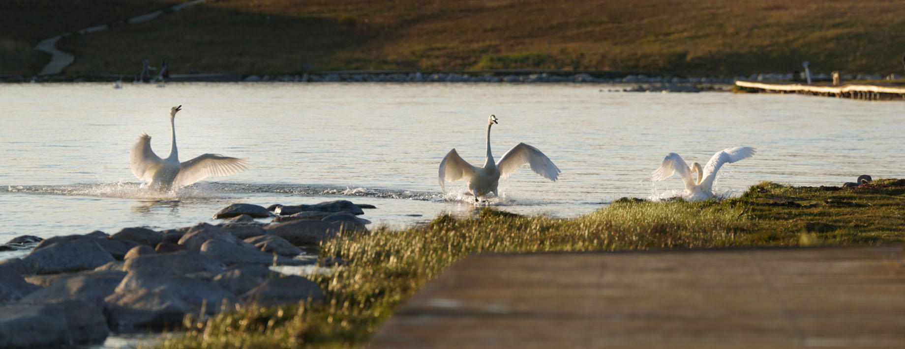 成都空港兴城投资集团有限公司